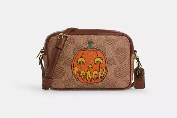 Coach Fall Crossbody Bag #fallfashion #pumpkin #falloutfits 

#LTKHalloween #LTKItBag #LTKSeasonal
