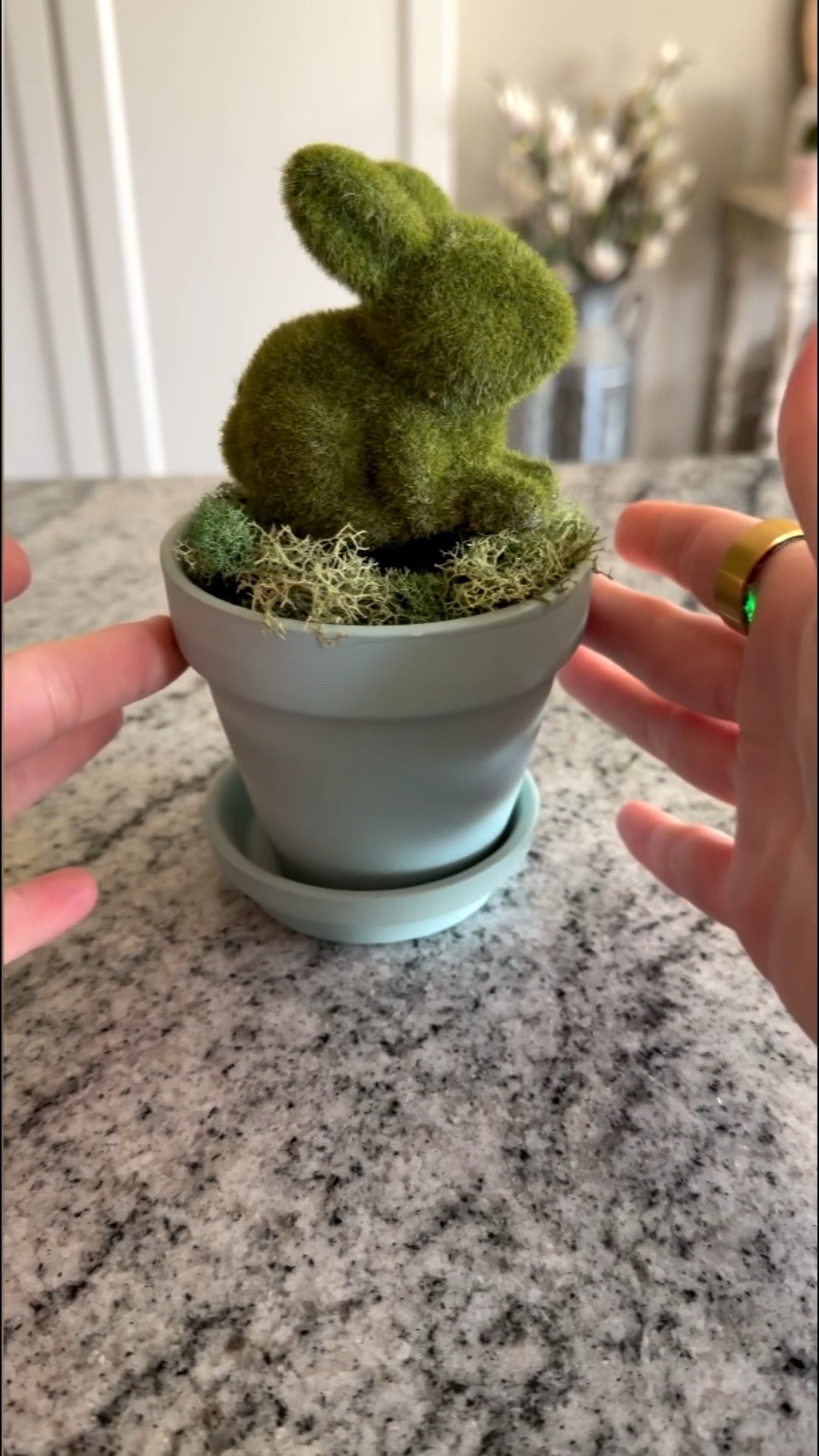 Stop scrolling — this might be the cutest DIY Easter decor idea you’ll see today. 🐰🌿

Looking for an easy, affordable Easter decor hack that looks high-end but takes minutes to make? This simple DIY Easter topiary is the perfect way to elevate your spring home decor without spending a fortune.

All you need:
• Faux moss
• A cute pot or planter
• A moss bunny

That’s it. No complicated steps. No crafting skills required. Just an adorable DIY Easter decoration that looks straight out of a boutique.

These faux Easter topiaries are perfect for:
✨ Entryway tables
✨ Kitchen counters
✨ Easter brunch centerpieces
✨ Spring mantel decor



#LTKHome #LTKSeasonal #LTKSpringSale