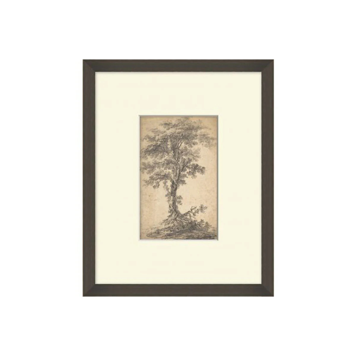 Tree Etching | Tuesday Made