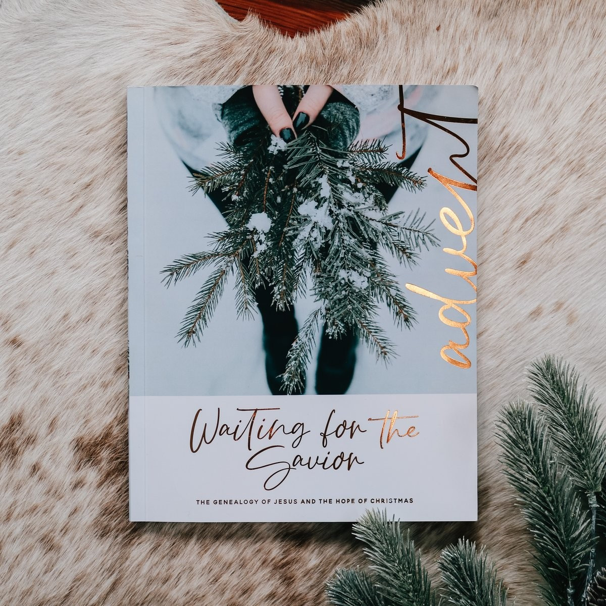 Waiting for the Savior | Advent Study | The Daily Grace Co.