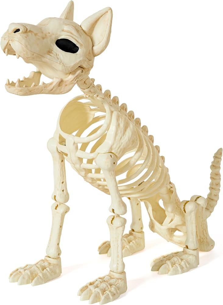 JOYIN 34\u201d Halloween German Shepherd Skeleton, Life Size Plastic Dog Skeleton with Movable Po... | Amazon (US)