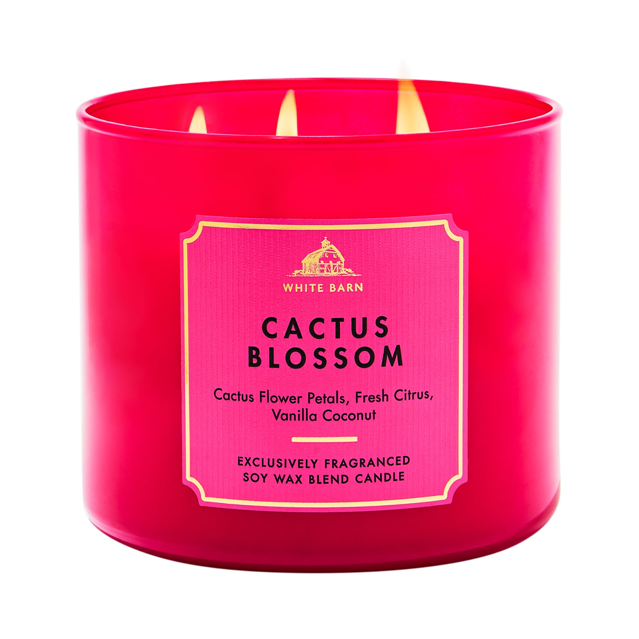 Bath & Body Works Cactus Blossom 3-Wick Candle - Scented Candle for At-Home Use - Long-Lasting, R... | Amazon (US)