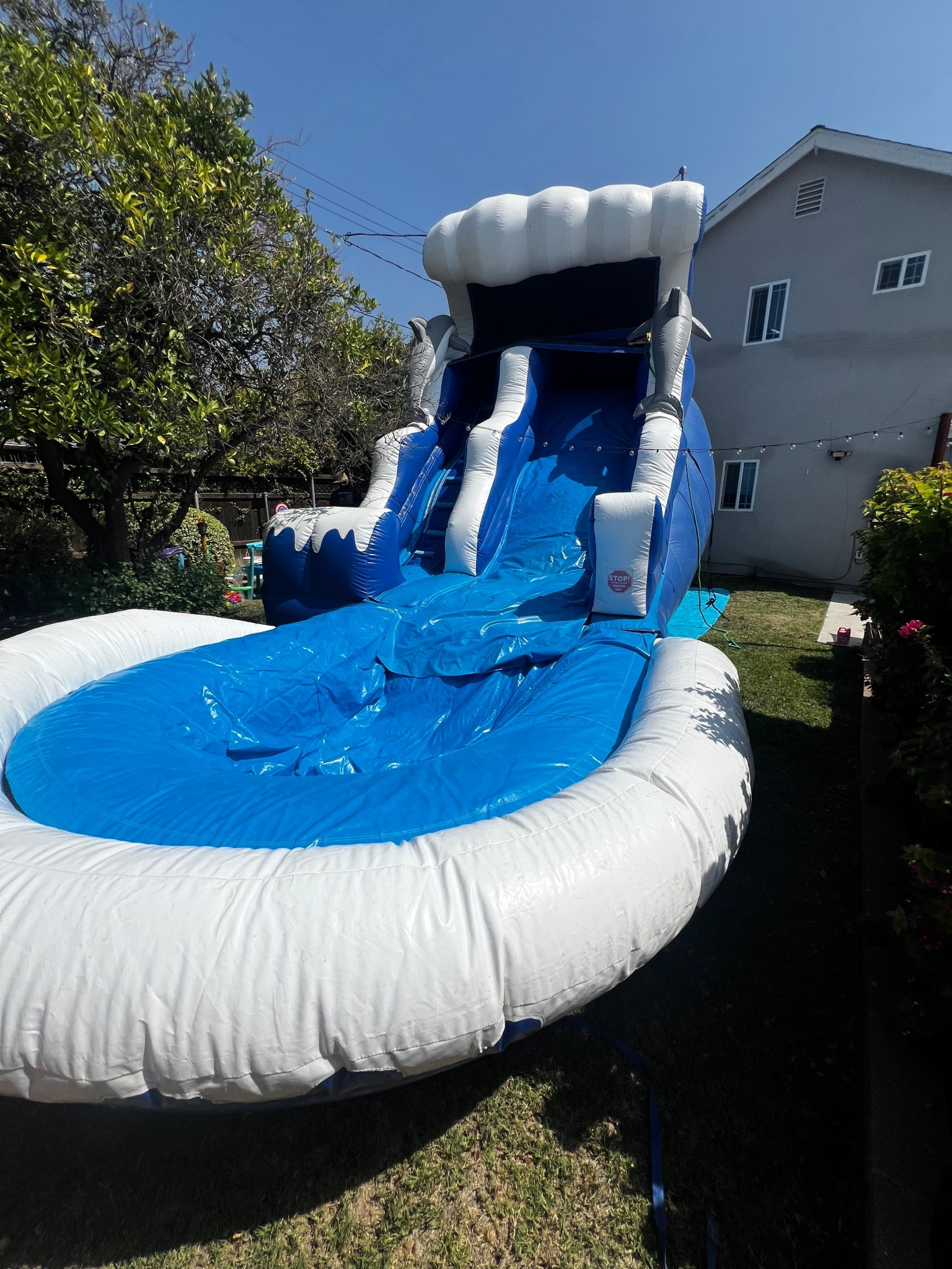 Made for the best backyard water slide party! 

#LTKFamily #LTKSeasonal #LTKHome