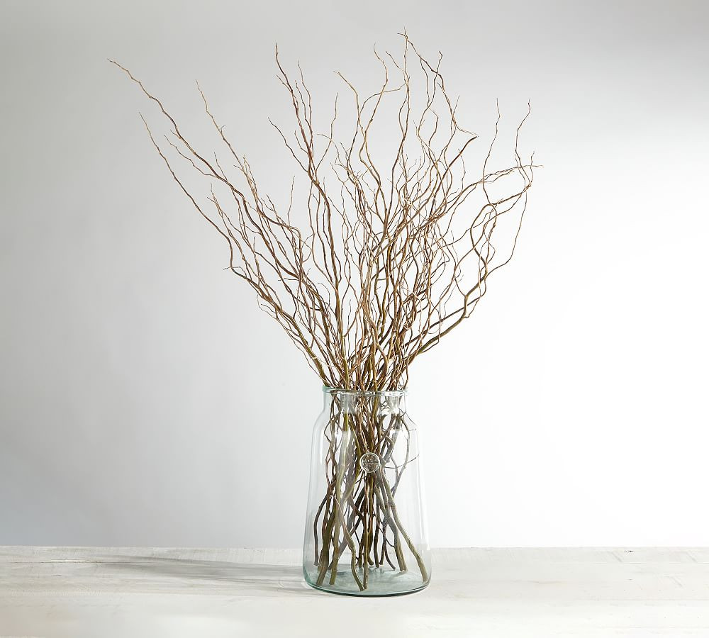 Live Curly Willow Branches | Pottery Barn (US)