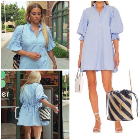 Robyn Dixon’s Blue Pleated Puff Sleeve Dress and Tan and Black Striped Purse