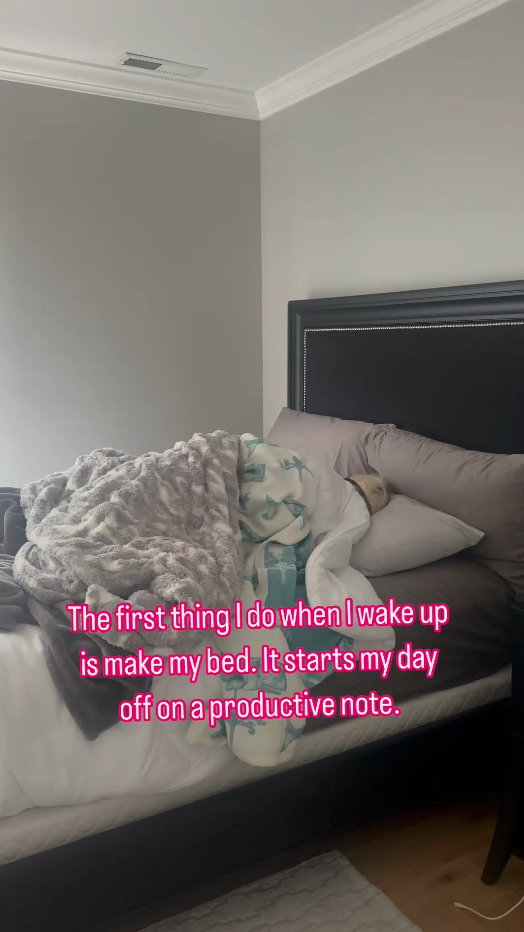 Tip of the day: if you want a productive day, make your bed🥰

#LTKHome #LTKFamily #LTKVideo