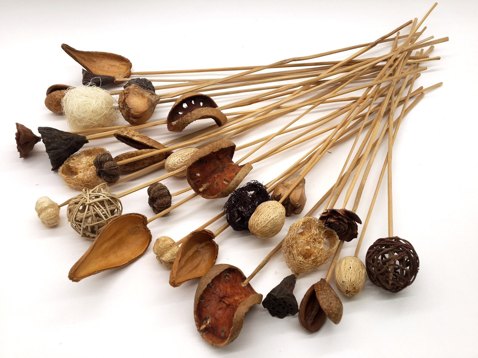 30/50pcs Assorted Dried Pods on Stems, Dried Pods Mix, Natural Dried Pods, Dried Flower Arrangeme... | Etsy (US)