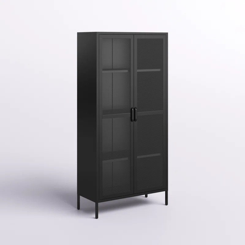 Aprel Steel Accent Cabinet | Wayfair North America