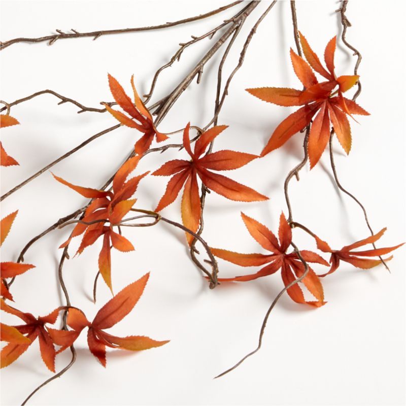 Artificial/Faux Japanese Maple Stem + Reviews | Crate and Barrel | Crate & Barrel