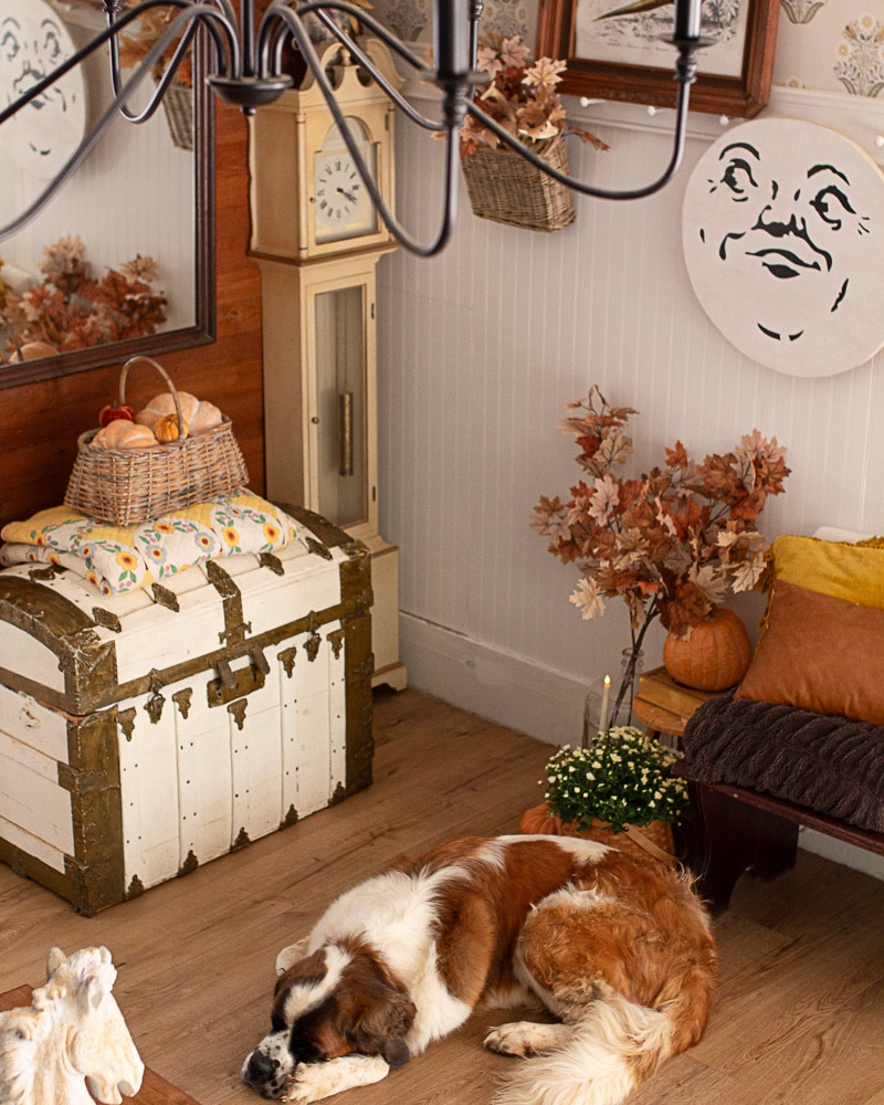 Cozy fall entryway decor 

#LTKSeasonal #LTKFindsUnder100 #LTKHome