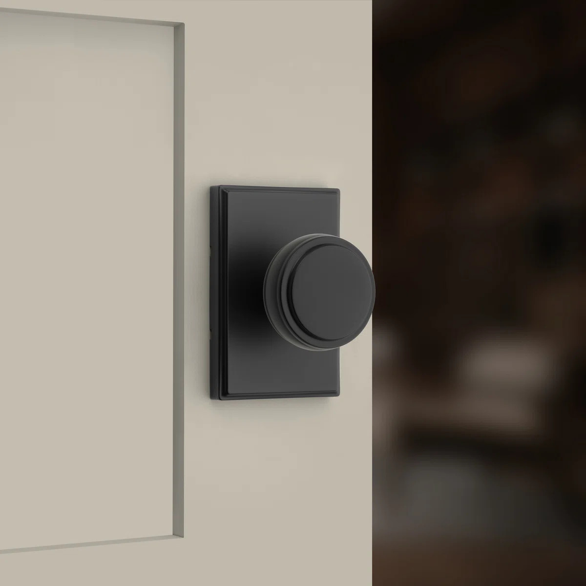 Sora Hall/Closet Knob w/ Rectangular Rose | Wayfair North America
