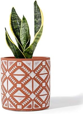 Visit the POTEY Store | Amazon (US)