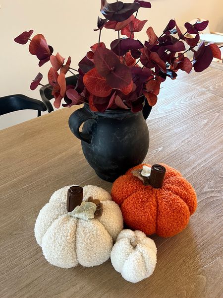 Michael’s has some great dupes for Pottery Barn’s fall decor! These plush pumpkins range from $3-$6!! 


#LTKSeasonal #LTKstyletip #LTKhome