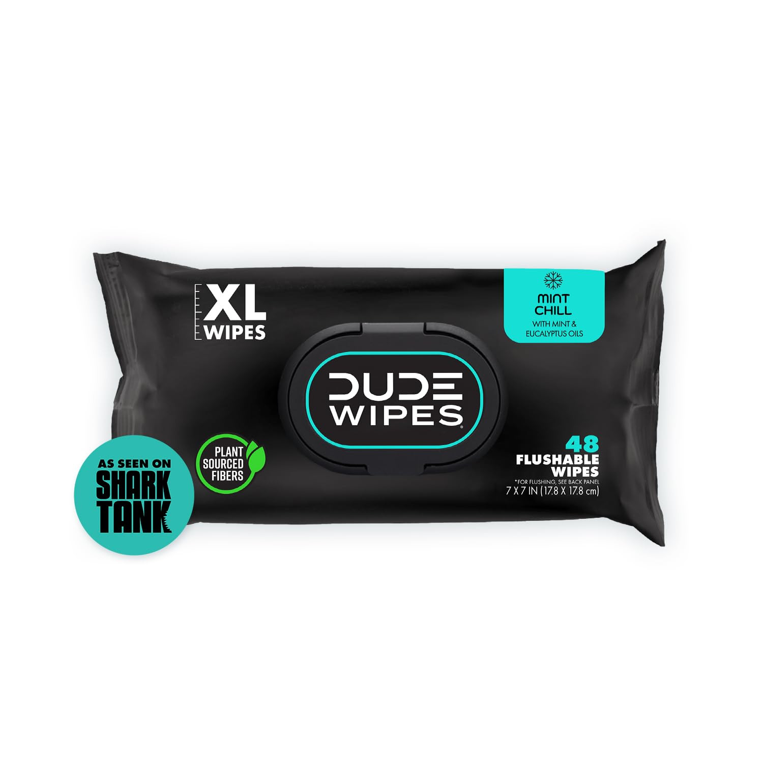 DUDE Wipes Mint Chill Flushable Wipes - Extra-Large Adult Wet Wipes - 1 Pack (48 Count), Travel P... | Amazon (US)