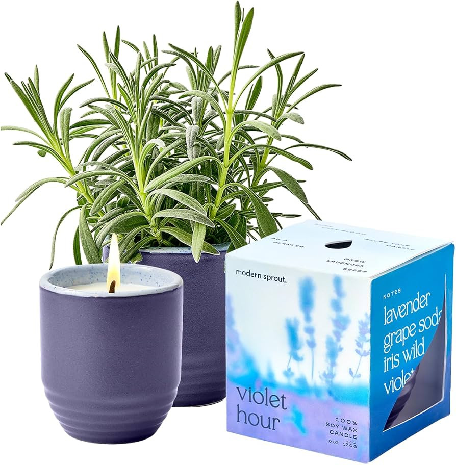 Modern Sprout - 2-in-1 Soy Candle & Planter - Violet Hour (Lavender, Grape Soda, Wild Iris, Viole... | Amazon (US)