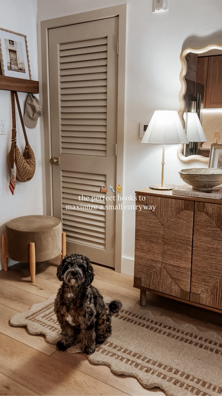 this hidden hook shelf solved a big entryway pet peeve ✨

I swapped out my old hooks for this shelf with hidden hooks underneath, and it functions SO much better for everyday life. Nothing constantly sliding or falling off anymore, and I love that it looks seamless and minimal. Plus, you can style on the upper shelf which is such a cute detail. I plan to add a plant as well but need to find one small yet impactful enough! 

Type Shop for details 🤎

#entryway #cozyhome #cozyvibes