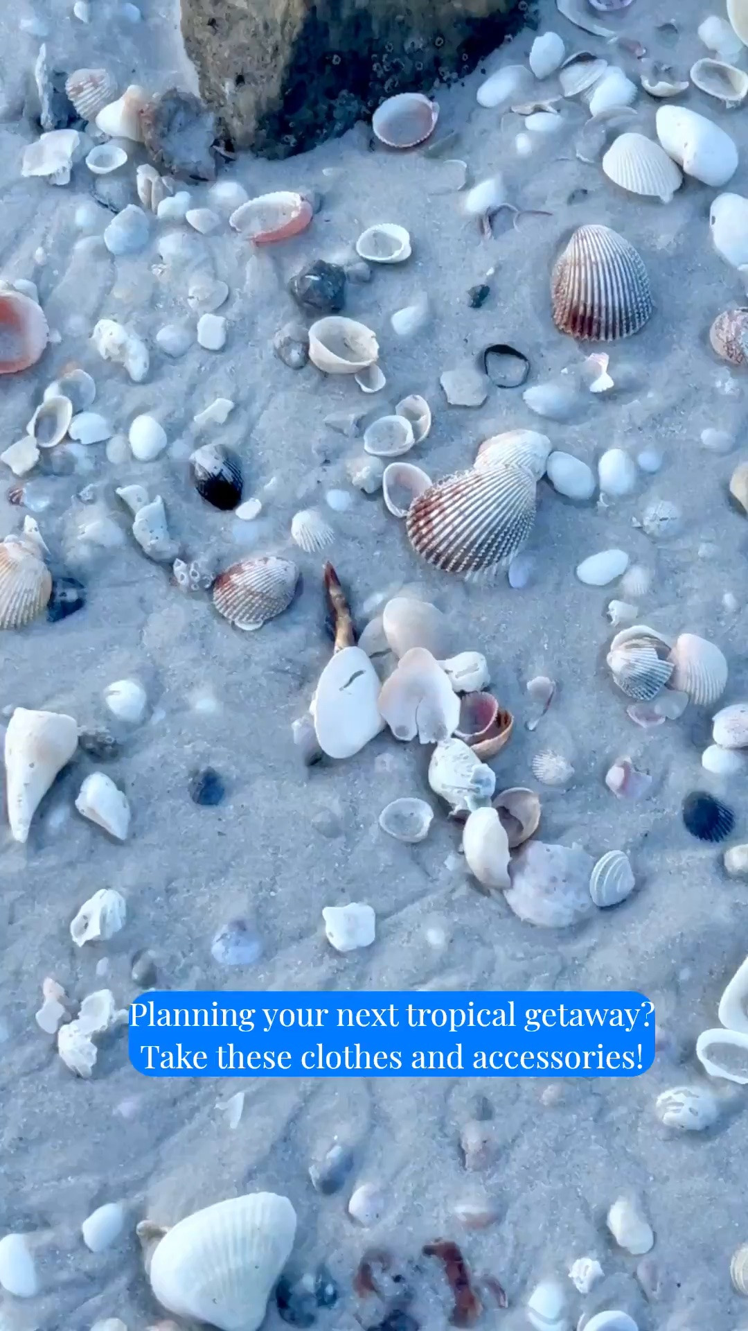 Planning your next tropical getaway? Take these clothes and accessories with you!

#LTKSeasonal #LTKOver40 #LTKSaleAlert #LTKTravel #LTKgrwm #LTKootd #LTKMidsize #LTKSwim #LTKvlog