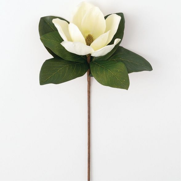 Sullivans Artificial Magnolia Stem 18.5"H Cream | Target