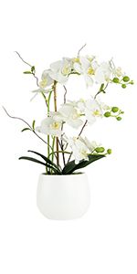 Artificial Orchid Flower Arrangements Artificial in Vase Phalaenopsis White Flowers, Fake Orchids... | Amazon (US)