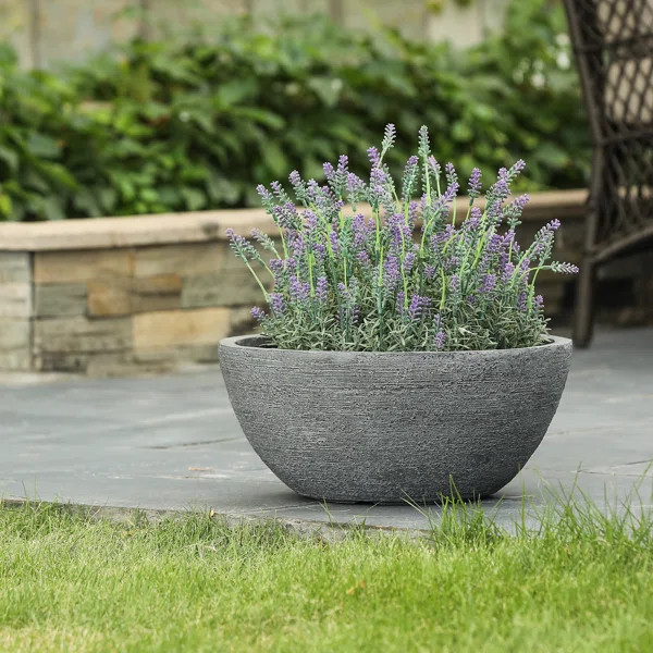 Tuscumbia Magnesium Oxide Pot Planter | Wayfair North America
