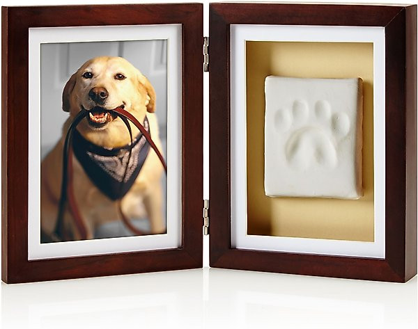 Pearhead Pawprints Dog & Cat Desk Frame, 4 x 6 in | Chewy.com
