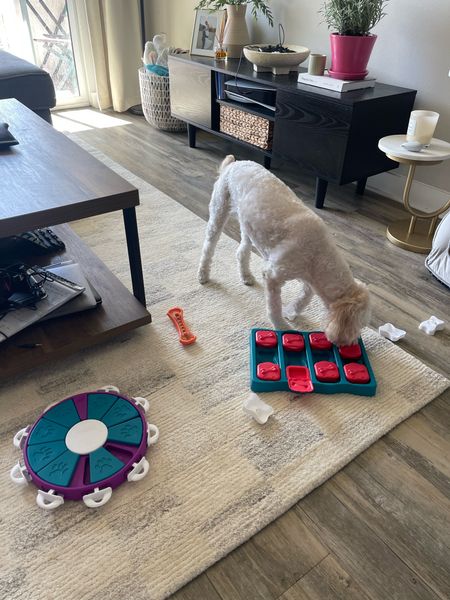 Dog puzzles Winnie loves 
