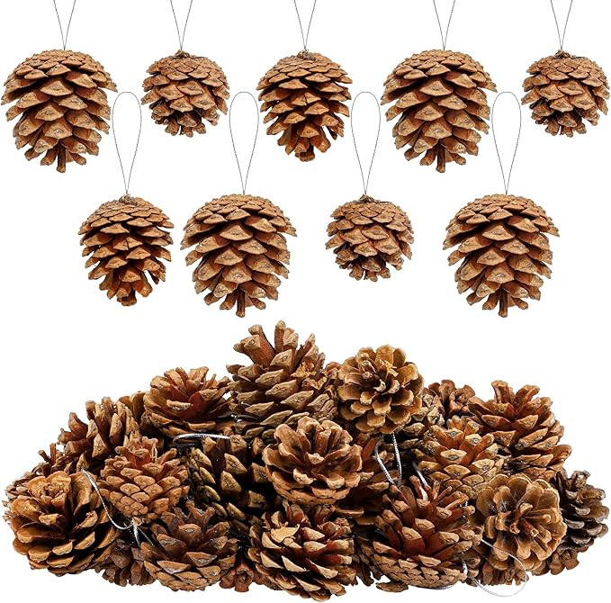 30 Pieces 2 Size Christmas Pine Cones with String Mini Rustic Pinecones Bulk Ornaments for Xmas T... | Amazon (US)