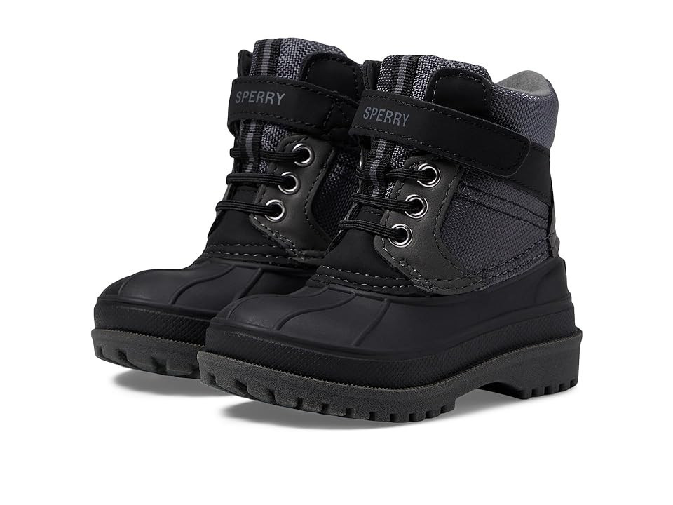 Sperry Kids Storm Hopper A/C (Toddler/Little Kid) Boy's Shoes Black/Grey : 8 Toddler M, Suede/Synthetic | Zappos