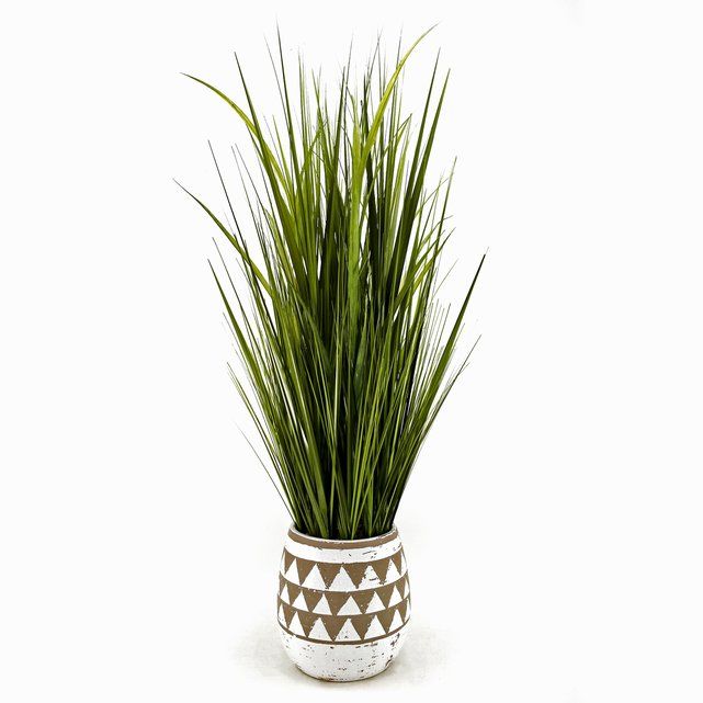 122cm Large Grass in Ceramic Plant Pot | La Redoute (UK)