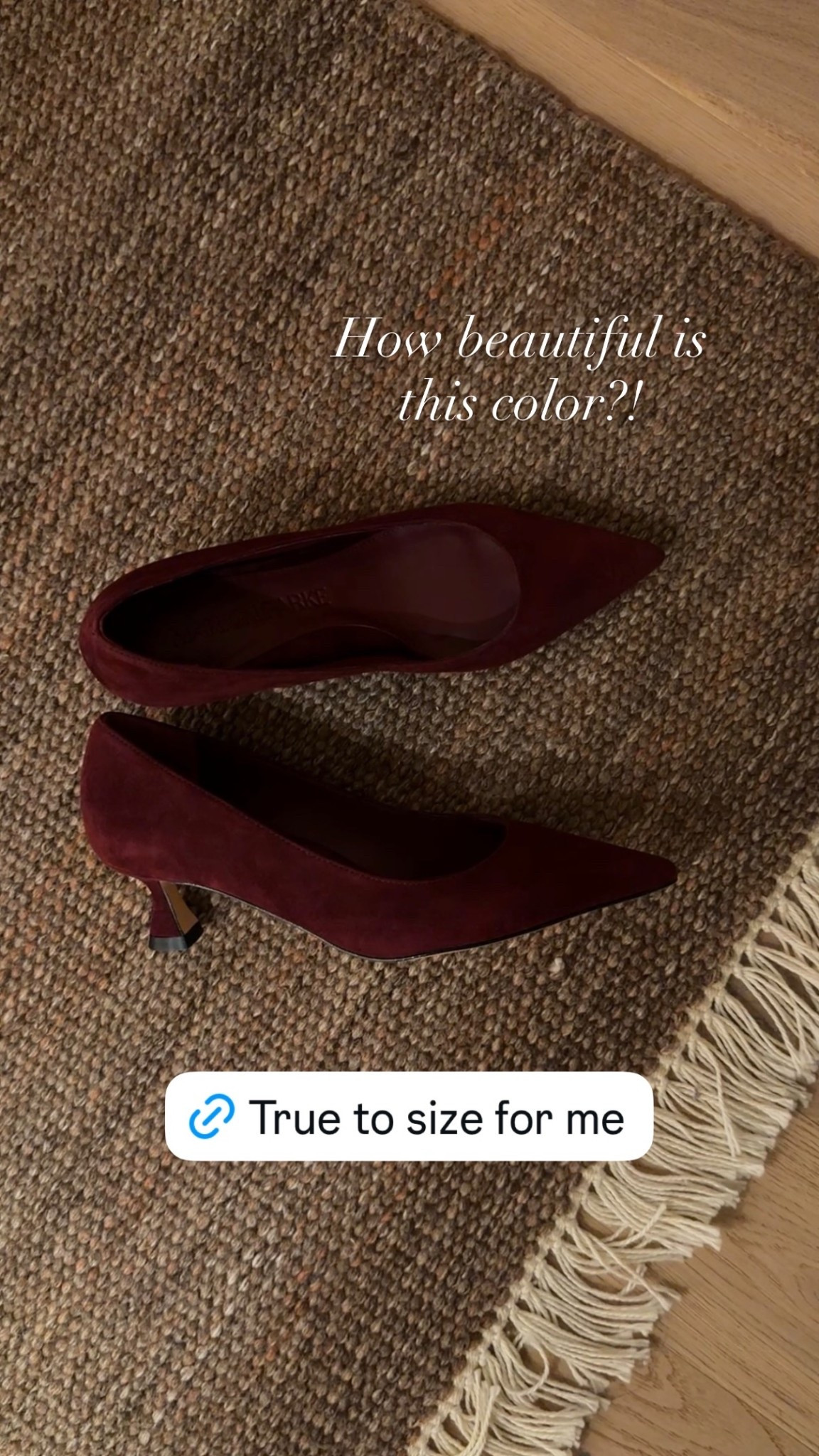 Flared Kitten Heel Pump in color Merlot Suede by Marion Parke.

I also linked a more affordable pair.

#classicstyle
#kittenheel
#suedeheel
#maroonheel
#winterpumps

#LTKgrwm #LTKFindsUnder100 #LTKSaleAlert