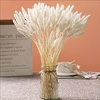 Natural Dried Bunny Tail Grass  | Amazon (US)
