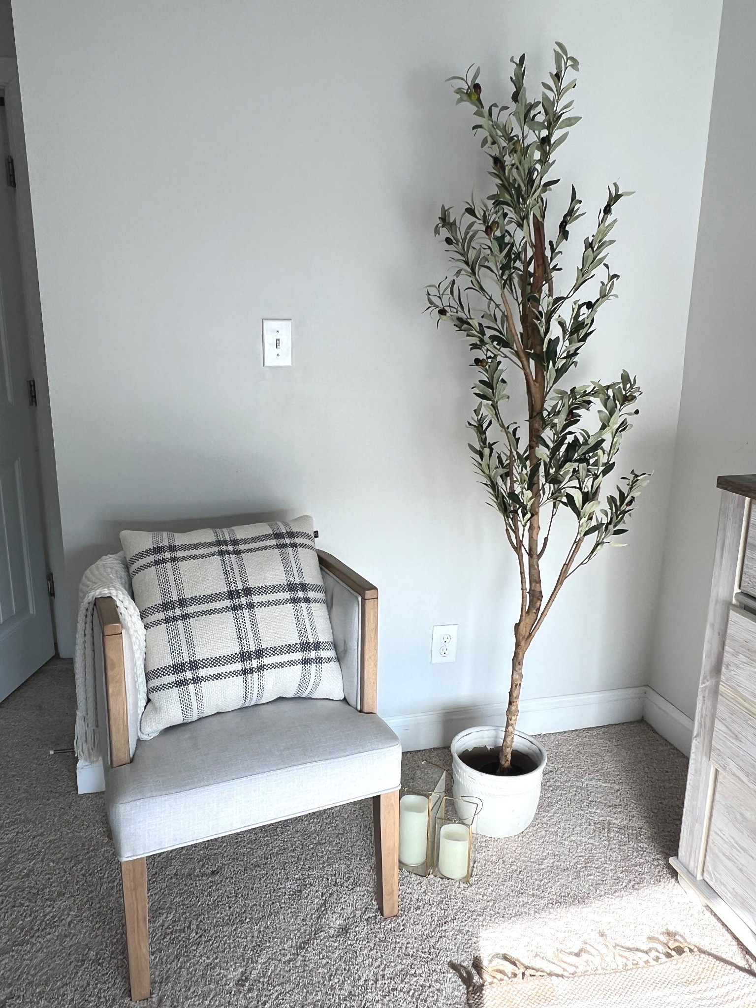 Olive tree
Faux tree
Home decor


#LTKStyleTip #LTKFindsUnder50 #LTKFindsUnder100