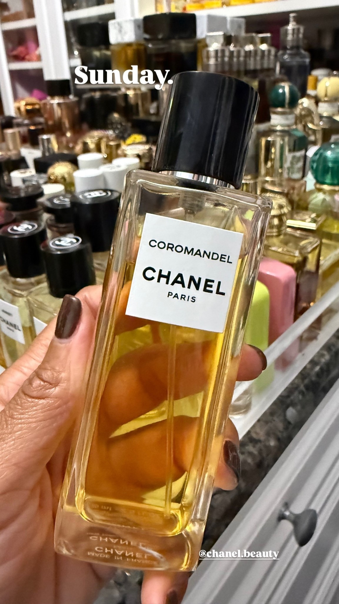 Sunday Scent Of The Day. Chanel Coromandel  

#LTKBeauty #LTKSeasonal