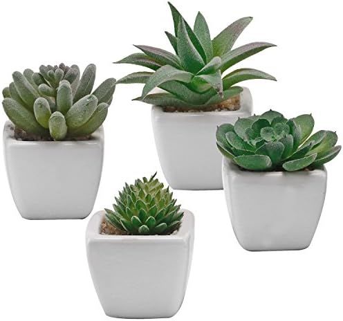 MyGift Mini Assorted Artificial Green Succulent Plants Potted in Square White Ceramic Planter Pots,  | Amazon (US)