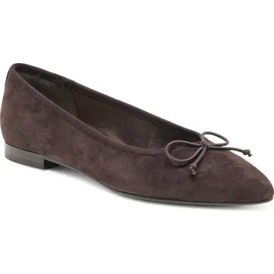 Dolce Vita Celio Pointed Toe Flat in Garnet Leather at Nordstrom, Size 11 | Nordstrom