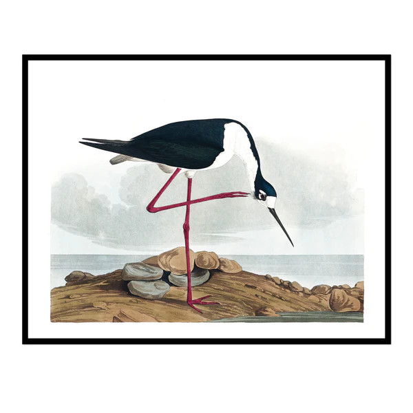 Vintage Blue Beauty | Urban Garden Prints