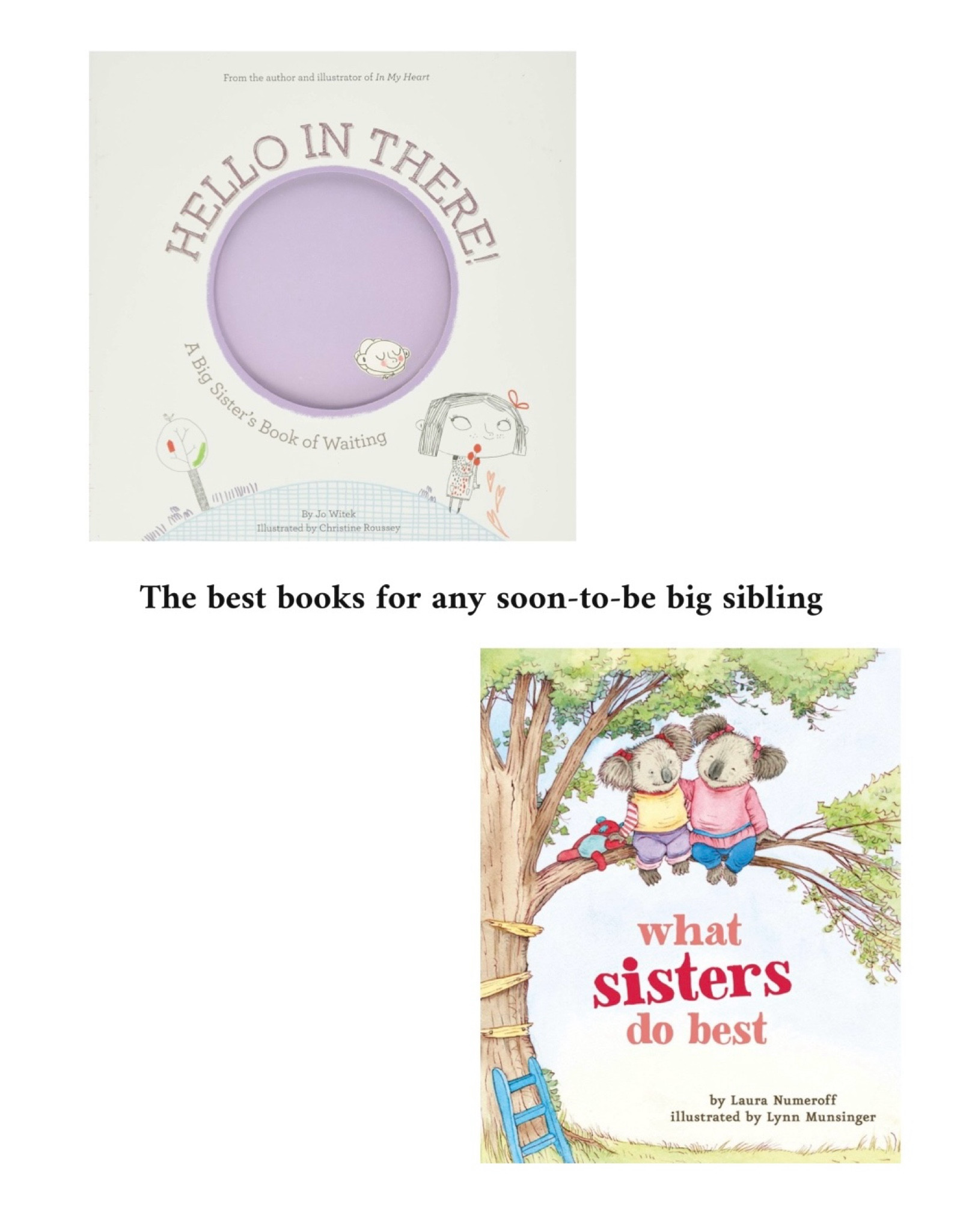 These books were gifts for my daughter and they’ve been so helpful as she’s been preparing to become a big sister! They’d be a great gift for any soon-to-be big sibling 

#LTKKids #LTKBaby #LTKFamily