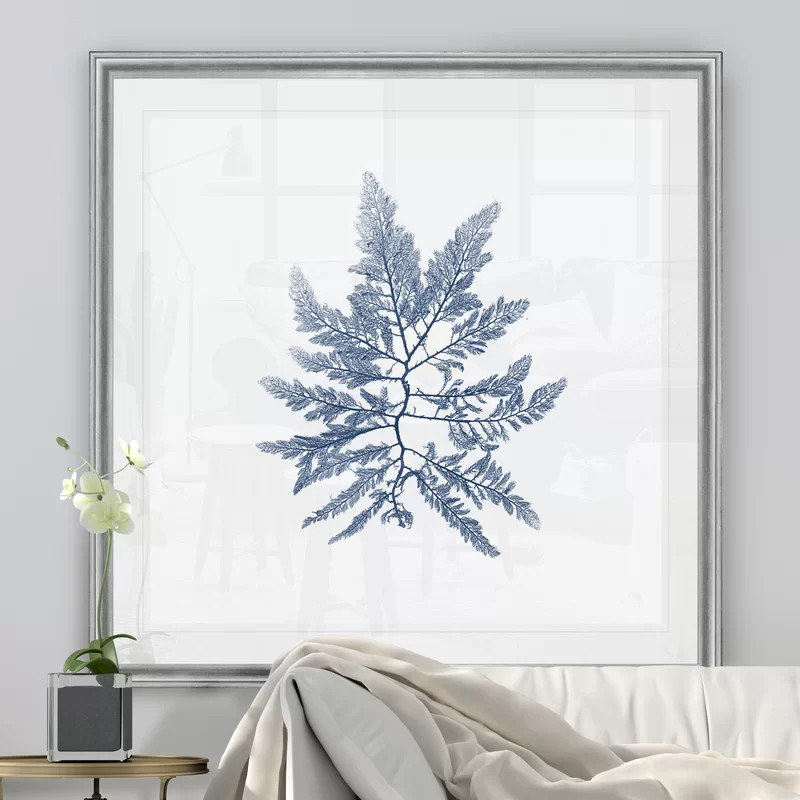 Navy Seaweed II - Wrapped Canvas | Wayfair North America