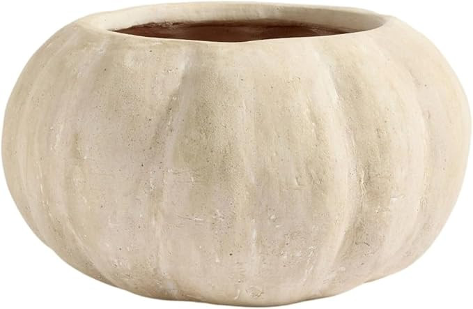 Pumpkin Flower Pot,Pumpkin Planter Pot, 7 x 3.9 Inch, Terracotta Style, Indoor Outdoor Fall Decor... | Amazon (US)