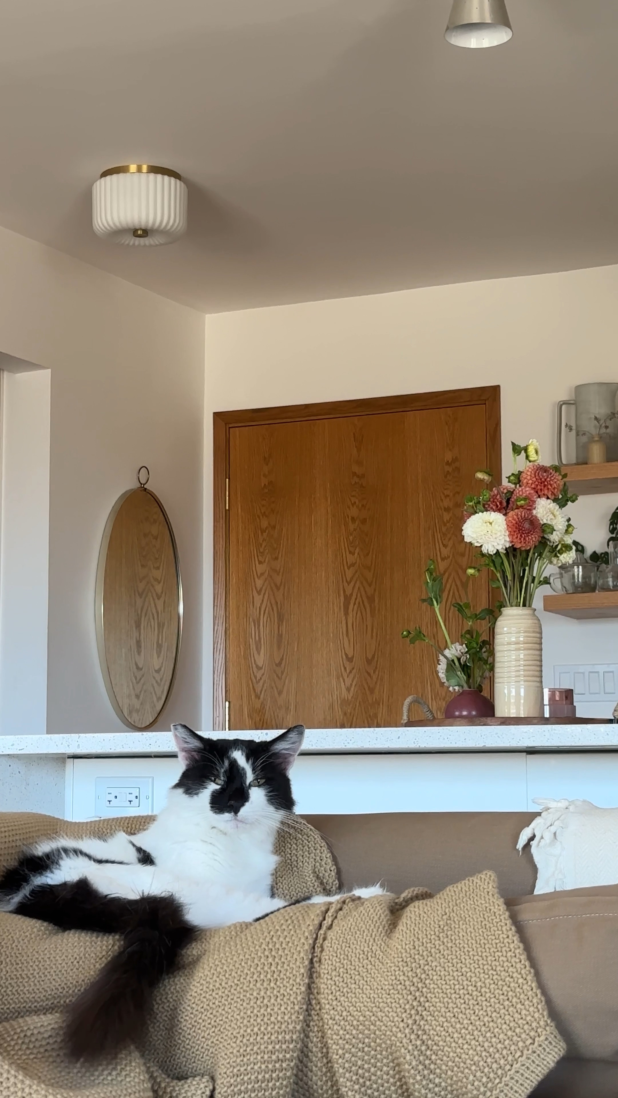 Got a few questions about the fluted brass light in the background of this video - it’s the Lydia light from Mitzi by Hudson Valley. I bought it through the company  Practical Props. #brass #lighting #flushmount #ceilinglight 

#LTKhome