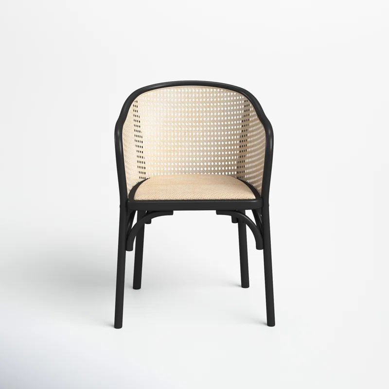 Fabiana Arm Chair | Wayfair North America