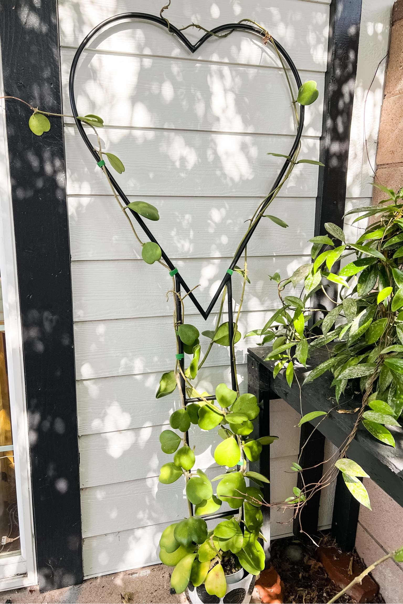 Large heart trellis for indoor and outdoor trailing plants 

#LTKHolidaySale #LTKGiftGuide #LTKSeasonal