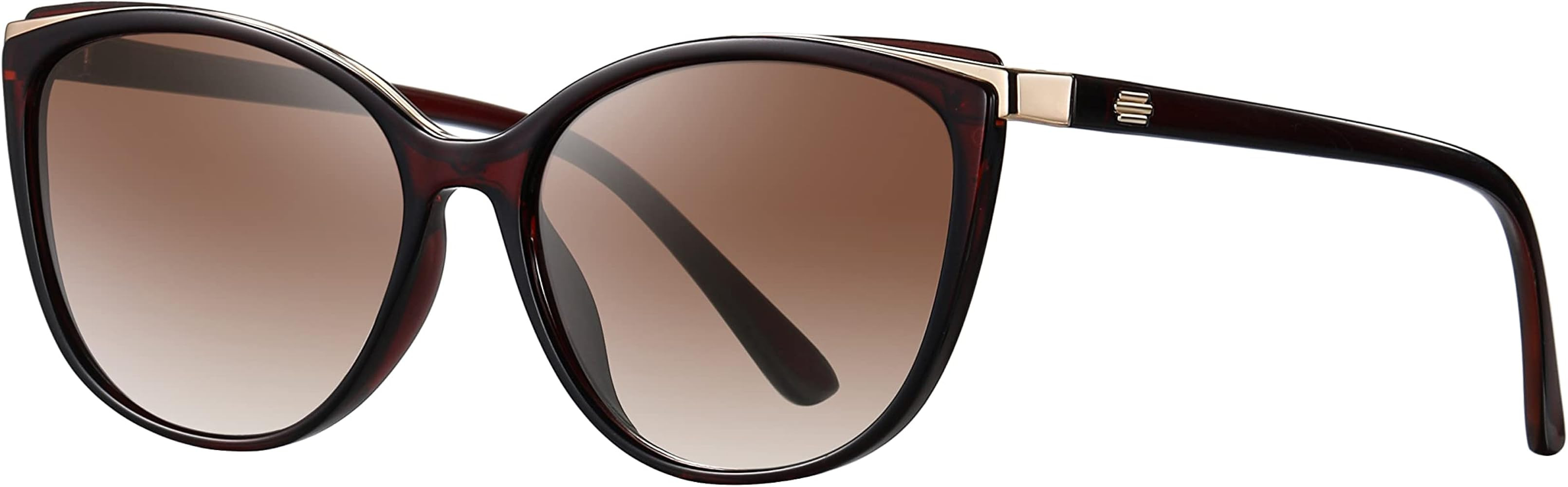 Trendy Cat Eye Sunglasses for Women Fashion Cateye UV400 Protection Glasses CL22017 | Amazon (US)
