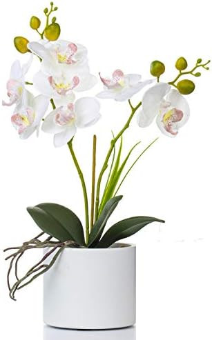 Jusdreen Artificial Flower Bonsai with Vase Vivid Orchid Flower Arrangement Phalaenopsis Flowers ... | Amazon (US)