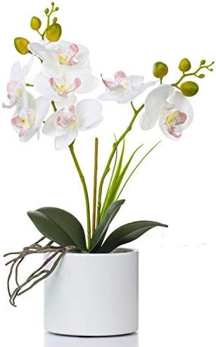Jusdreen Artificial Flower Bonsai with Vase Vivid Orchid Flower Arrangement Phalaenopsis Flowers ... | Amazon (US)
