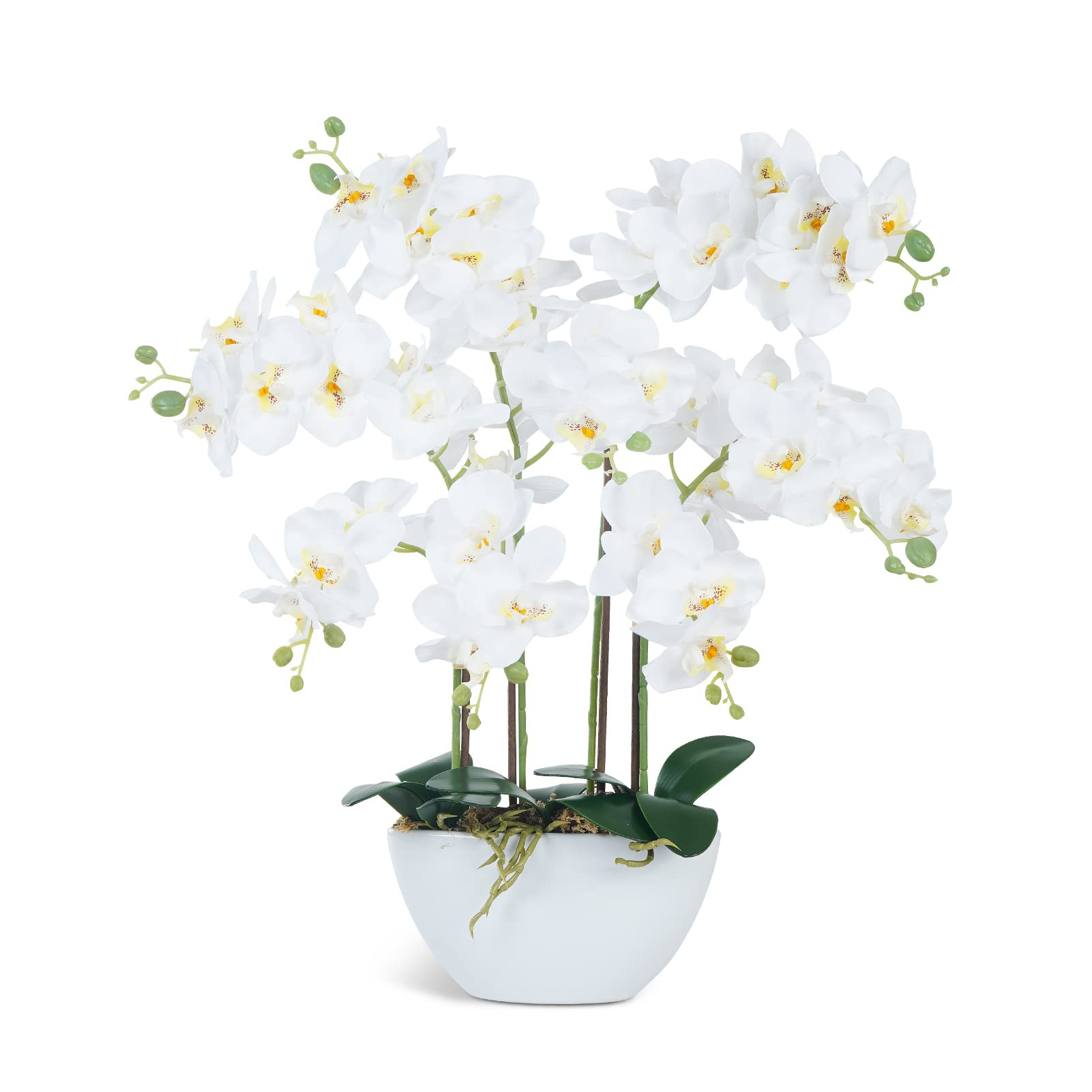 Ziwon Artificial Orchid Flowers & Plants Potted in Ceramic Pot, White Faux Phalaenopsis Orchids f... | Amazon (US)