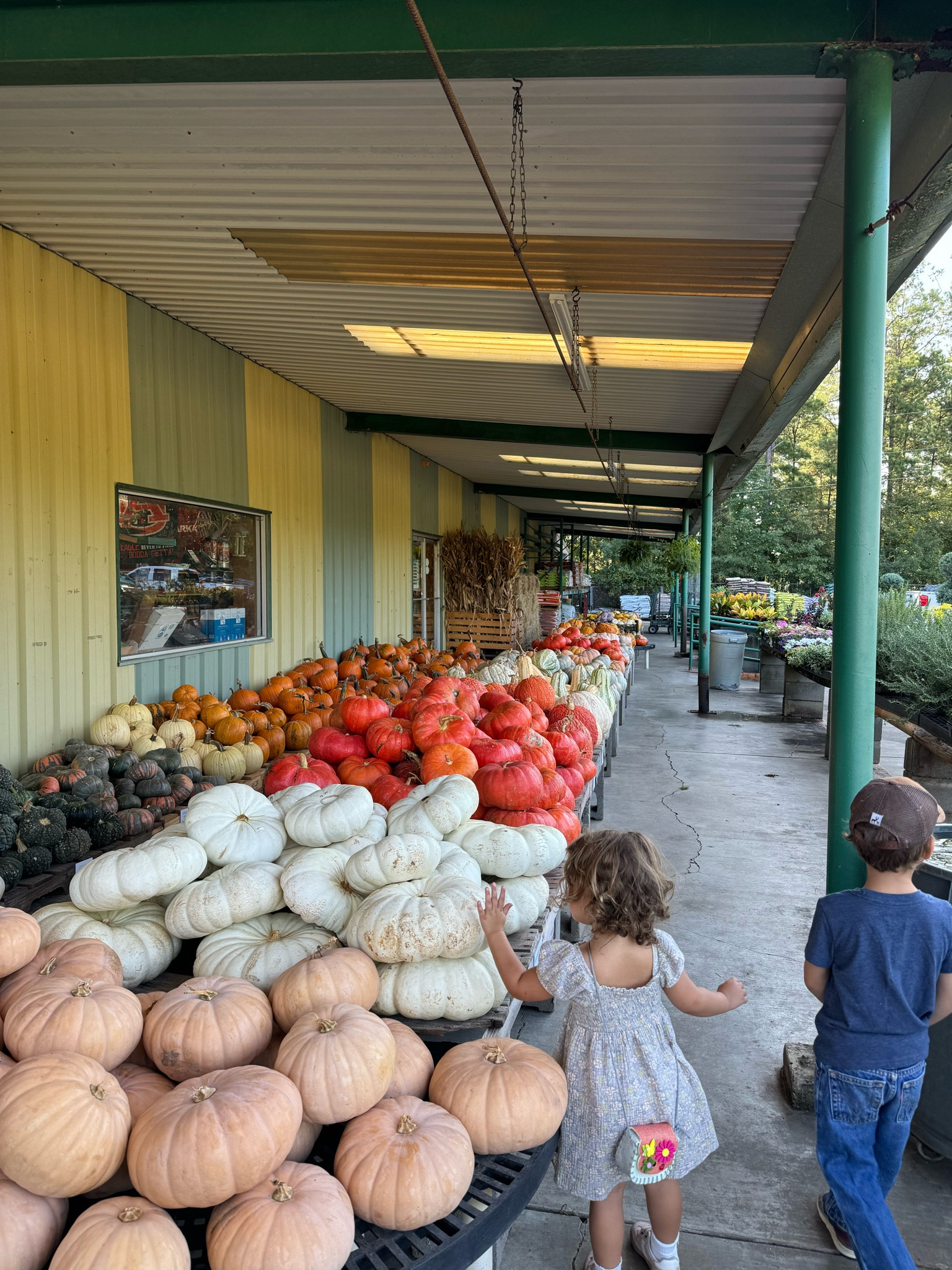 Love a Walmart find!!