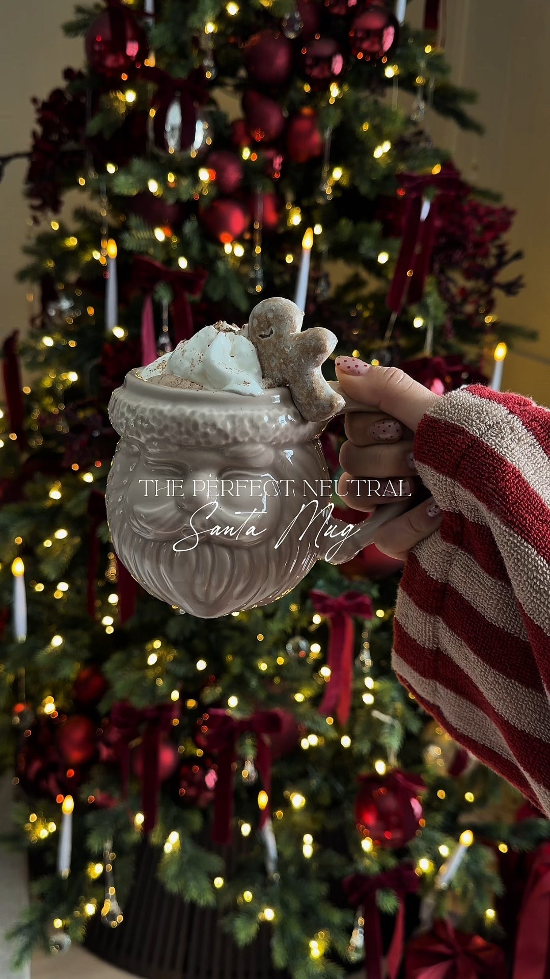 The perfect neutral santa mug 