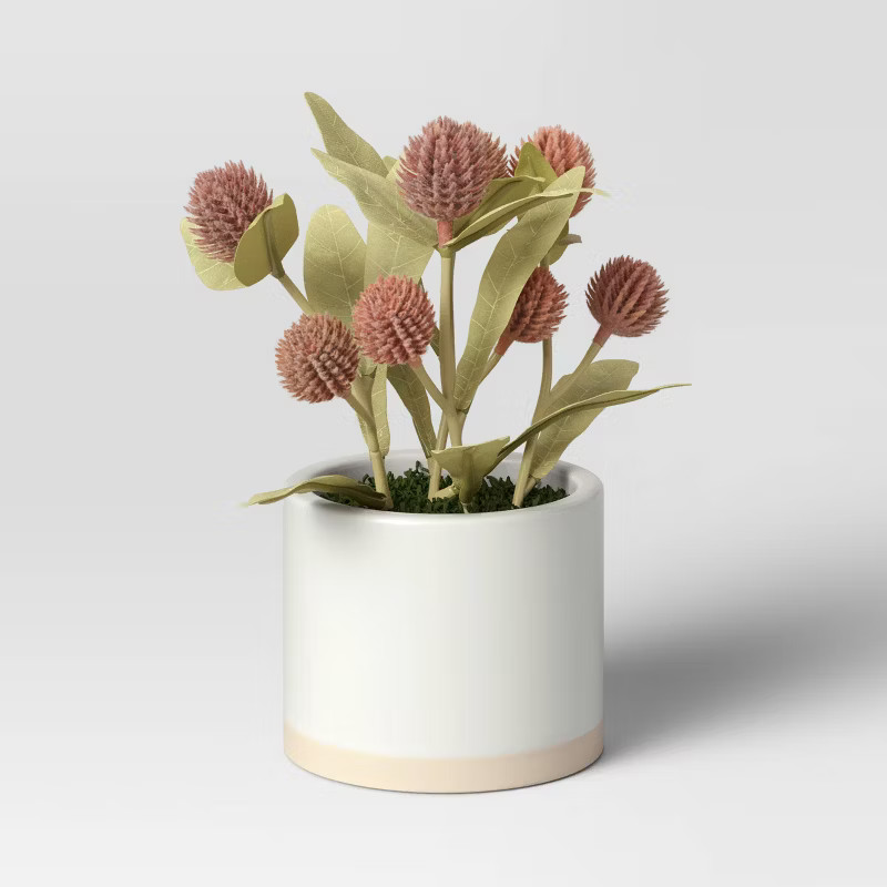 Red Berry Color Story - Threshold™ | Target