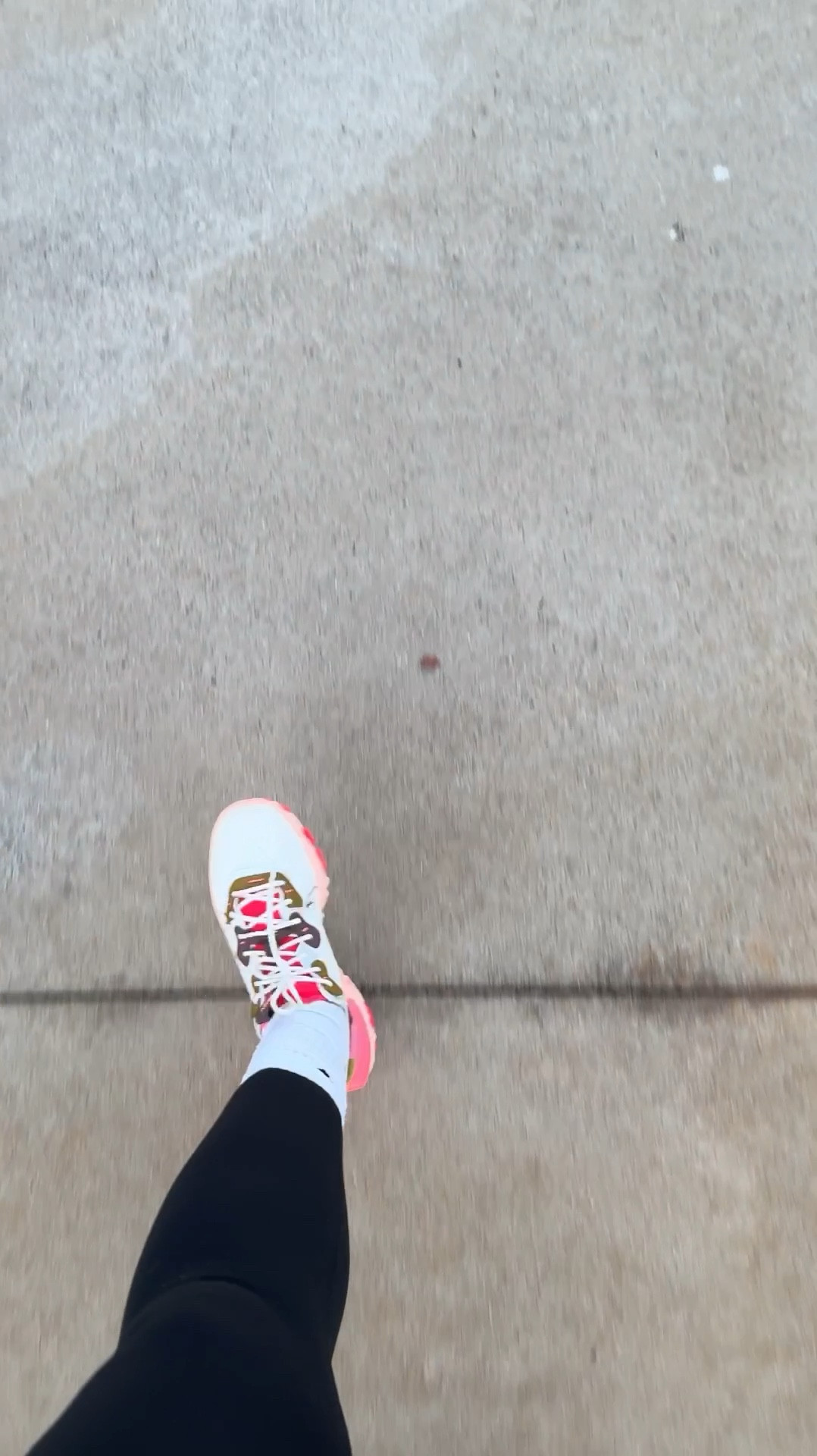 Day 5 of 31 #keepitmoving 
Evening Walk with the Squad

#LTKActive #LTKFitness #LTKVideo